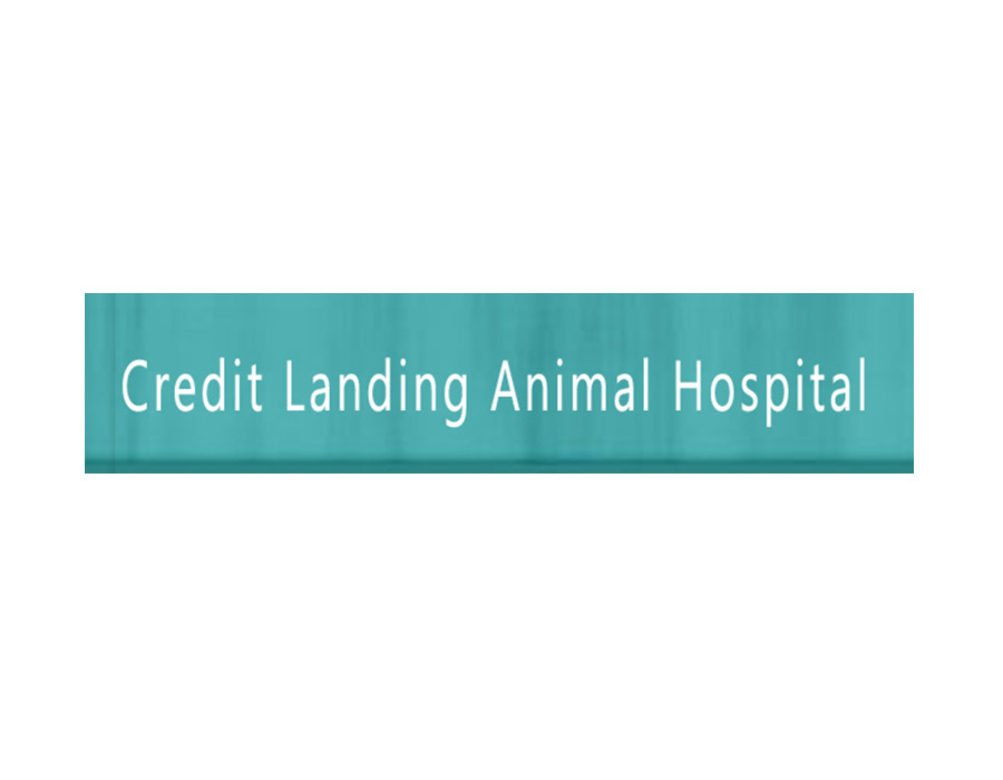 Credit Landing Animal Hospital